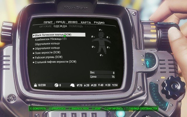Fallout4-2019-02-11-13-16-48-41.jpg