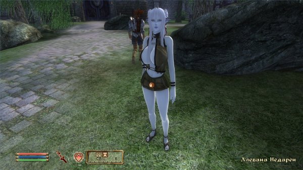 Oblivion 2017-03-11 14-32-35-032.jpg