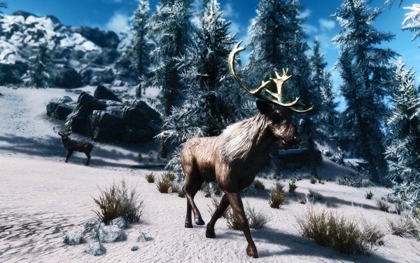 TESV 2018-01-19 21-06-30-33.jpg