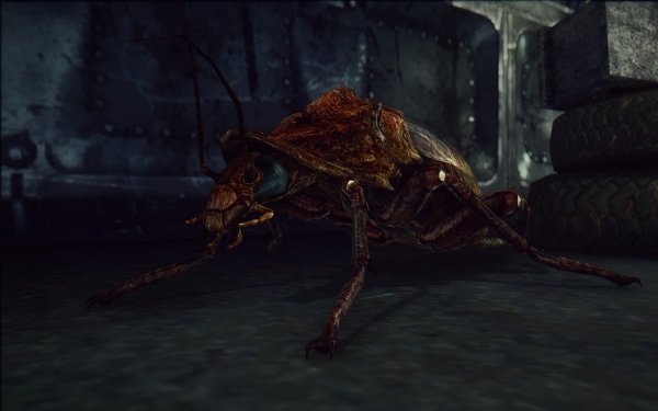 Fallout3 2018-10-01 21-39-42-88.jpg