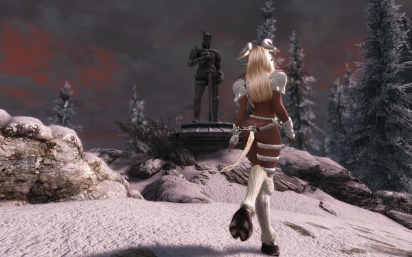 TESV 2018-01-19 15-36-48-28.jpg