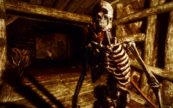 TESV 2017-12-29 21-25-17-64.jpg