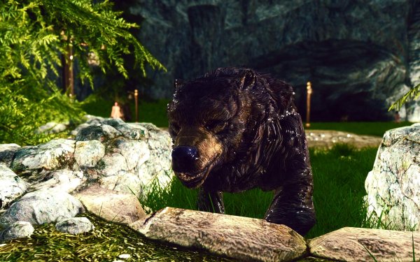 Сюжетная линия. Новое.