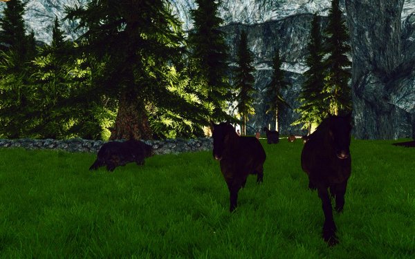 Сюжетная линия. Новое.