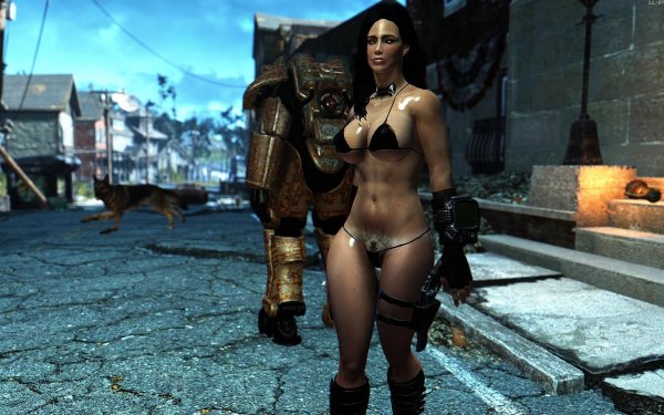 Fallout4 2018-12-27 11-07-30-31