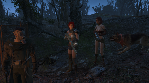 Моя команда