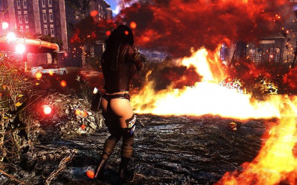 Fallout4 Сборка 5