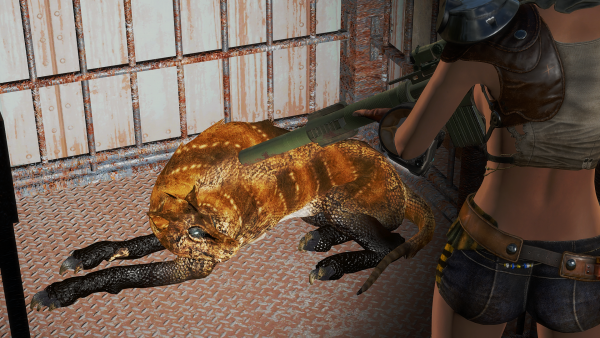 Приручаю "ночного бойца"