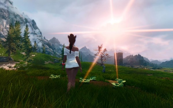 Сюжетная линия. Даника.