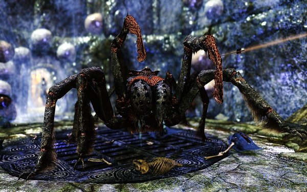 SkyrimSE 2019-01-14 10-51-01-03