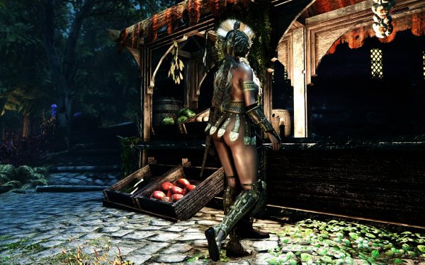 SkyrimSE 2019-01-21 07-45-05-85