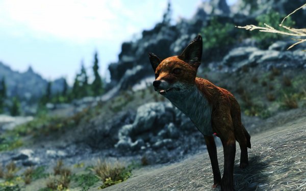 SkyrimSE 2019-01-17 11-30-18-17