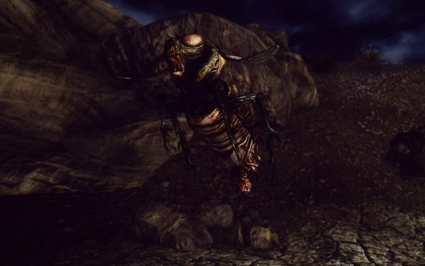 FalloutNV 2019-01-28 10-43-46-26