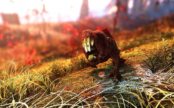 Fallout4 2019-01-03 21-01-20-33