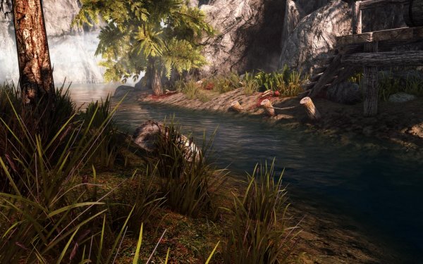 SkyrimSE 2019-01-25 10-13-56-82