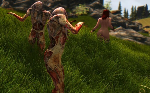 TESV 2019-01-05 11-47-16-73