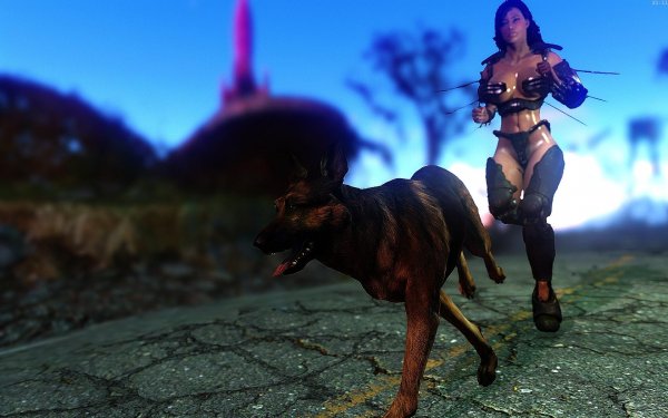 Fallout4 2019-01-18 21-11-07-09