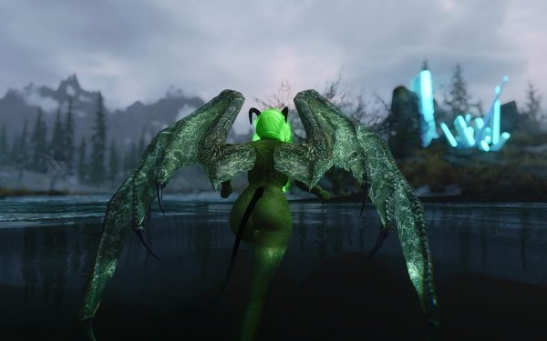 TESV 2019-01-11 19-57-46-74