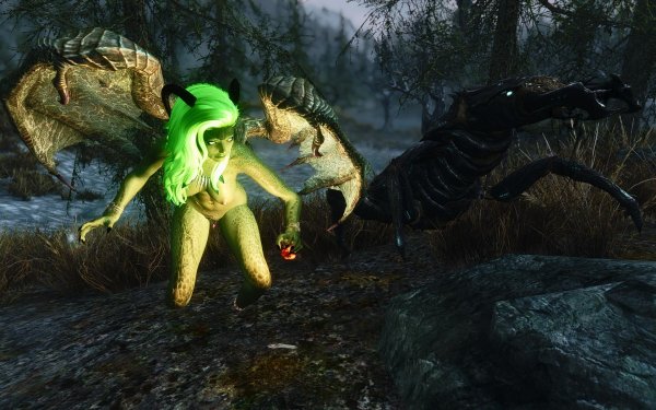 TESV 2019-01-11 20-01-24-71