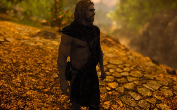 SkyrimSE 2019-01-02 09-49-51-50