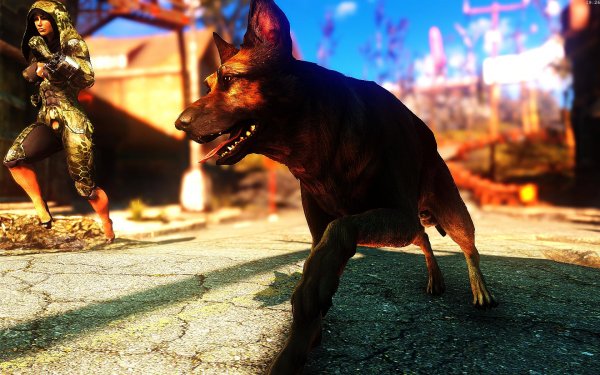Fallout4 2019-01-15 19-26-48-12