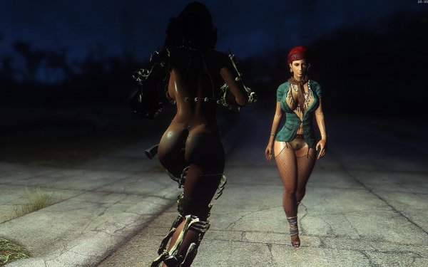 Fallout4 2019-01-03 20-05-37-08