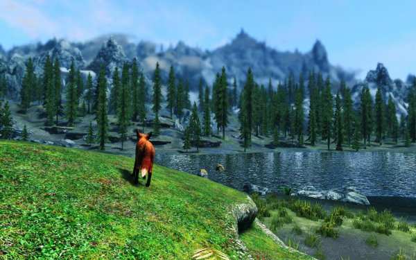 SkyrimSE 2019-01-17 11-31-20-36