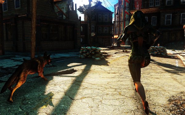 Fallout4 2019-01-15 19-25-45-84