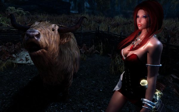 SkyrimSE 2019-01-31 11-01-50-14