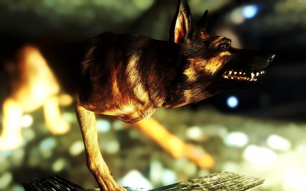 Fallout4 2019-01-15 19-47-02-25