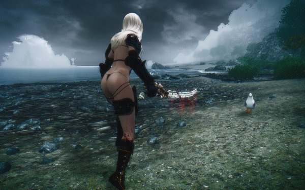 TESV 2018-01-03 00-39-09-61