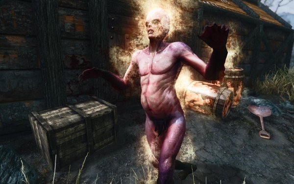 TESV 2019-01-11 19-36-28-06