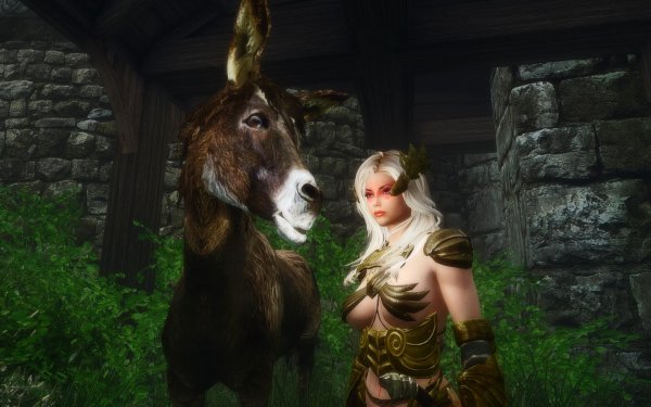 Скакун из Эндерала.