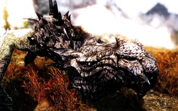 SkyrimSE 2019-01-21 11-31-06-90