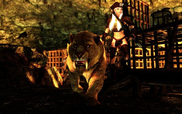 SkyrimSE 2019-01-25 13-22-30-52