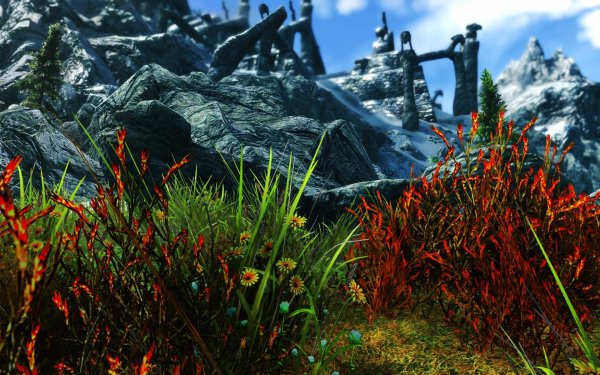 SkyrimSE 2019-01-17 12-02-51-77