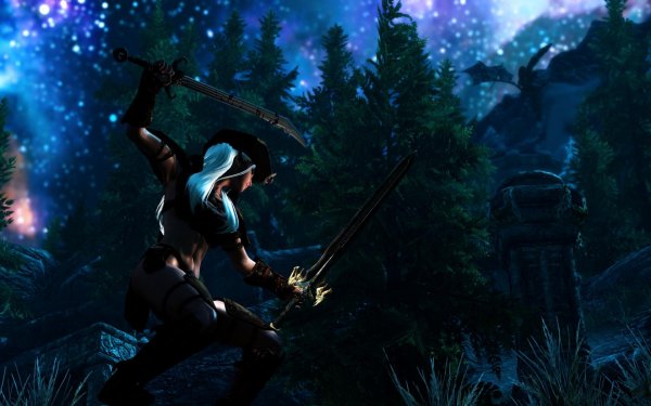 SkyrimSE 2019-01-28 13-20-47-68