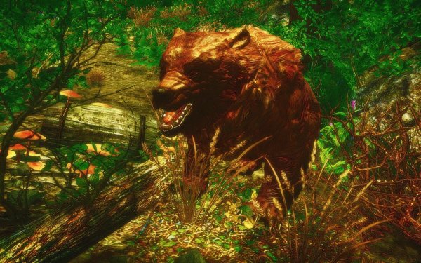 TESV 2018-01-01 12-12-43-34