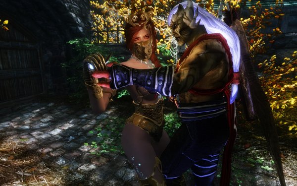 TESV 2019-01-27 13-23-22-21