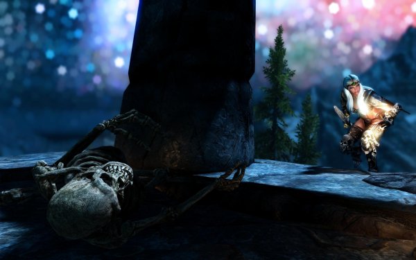 SkyrimSE 2019-01-23 21-47-30-19