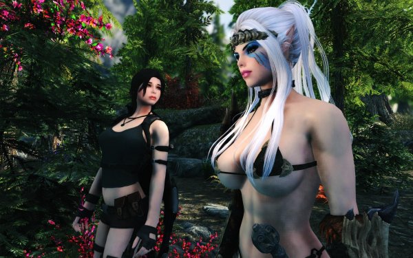 SkyrimSE 2019-01-17 12-06-11-14