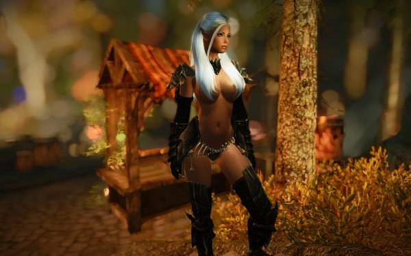 TESV 2019-01-24 11-30-34-63