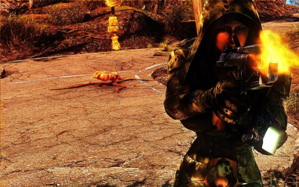 Fallout4 2019-01-15 19-24-14-67