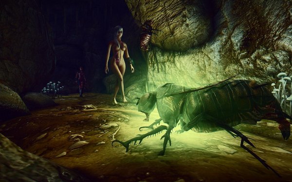 FalloutNV 2019-01-07 13-17-43-93