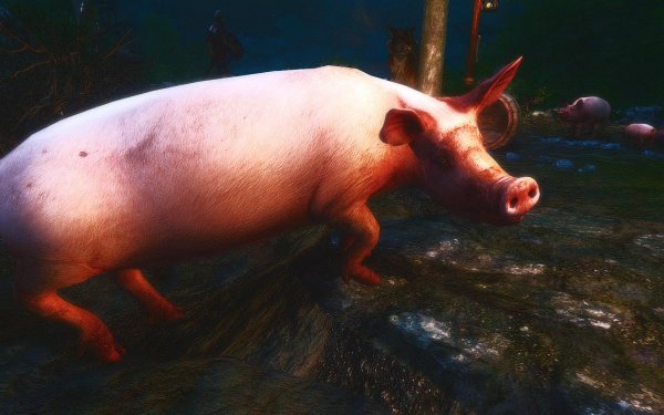 TESV 2018-01-02 20-45-05-89