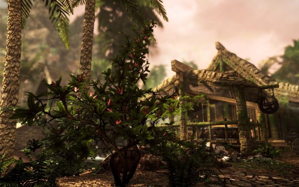 SkyrimSE 2019-01-02 09-57-41-35