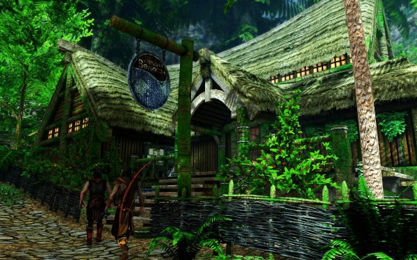 SkyrimSE 2019-01-06 22-14-57-76