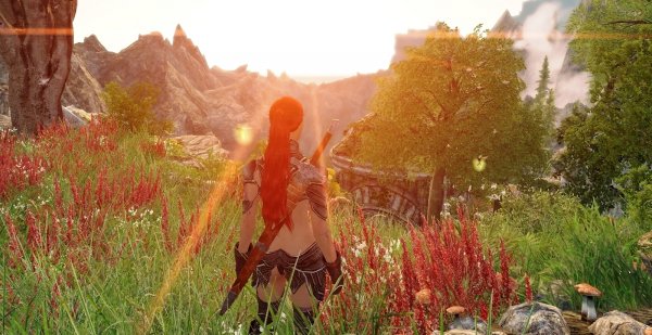 Начало приключений Шэйлы