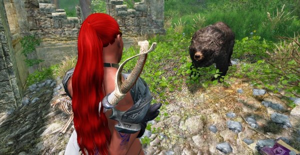 Когда медведь проснулся..