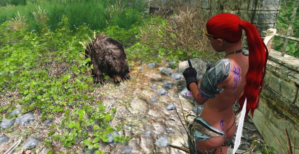 Шэйла наложила на медведя руну очарования